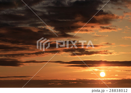 鬼城山からの日の出 鬼城山からの日の出 28838012