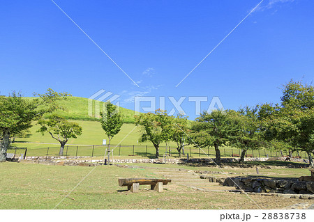 奈良県・若草山 28838738