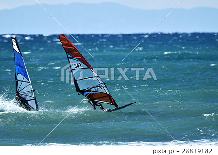 ウィンドサーフィン 28839182