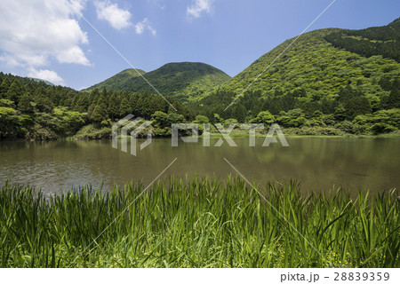 初夏のお玉ヶ池と上二子山 28839359