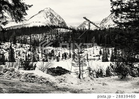 Solisko with springboard for ski jumping, colorles Solisko with springboard for ski jumping, colorles 28839460