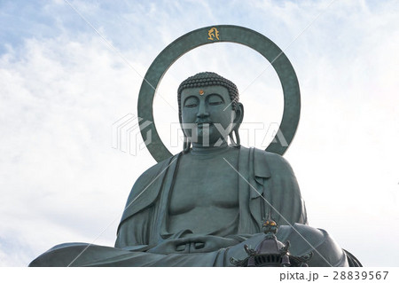 端正な顔立ちの高岡大仏、富山県 28839567