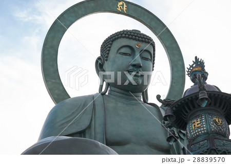 高岡大仏の御尊顔、富山県 高岡大仏の御尊顔、富山県 28839570