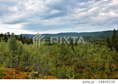 View from the mountain on forest expanses. Russia View from the mountain on forest expanses. Russia 28840230