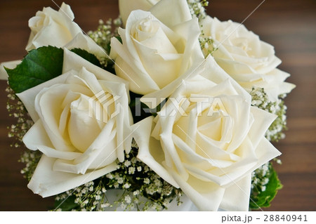 白い薔薇 ホワイトローズ 白薔薇 白バラ White Colored Rose の写真素材