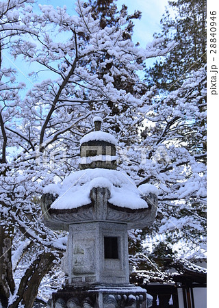 雪景色の神社境内 28840946