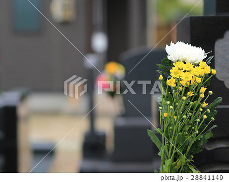お墓参り お彼岸の供え物の菊の花 28841149