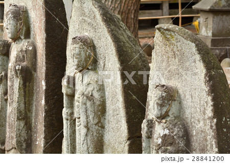 仙台・仙岳院 仙台・仙岳院 28841200