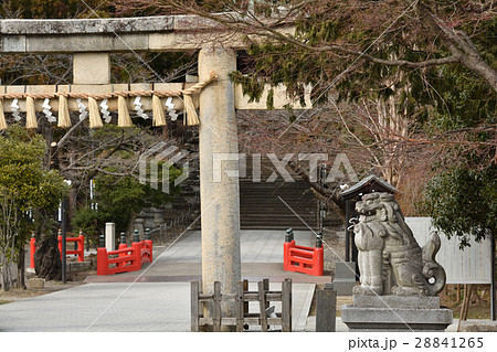 仙台・東照宮 仙台・東照宮 28841265