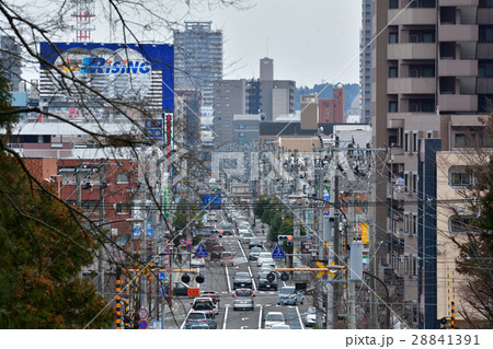 仙台・東照宮から見た市街 28841391
