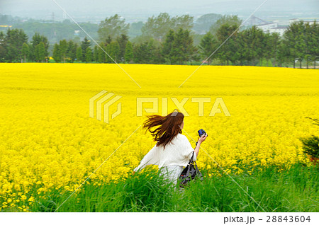 菜の花に囲まれて 28843604