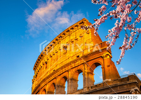 Colosseum at sunset 28845190