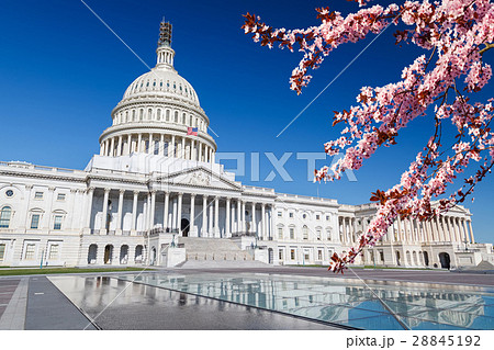US Capitol at spring sunny day 28845192