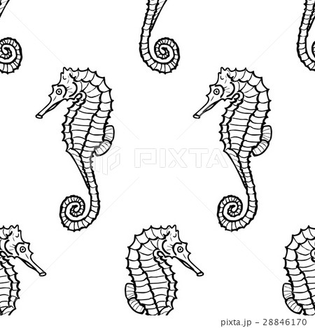 seamless pattern seahorse silhouette. hippocampus 28846170