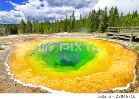 イエローストーン モーニンググローリー イエローストーン モーニンググローリー 28846710