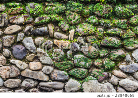 vintage stone wall covered with moss 28848669