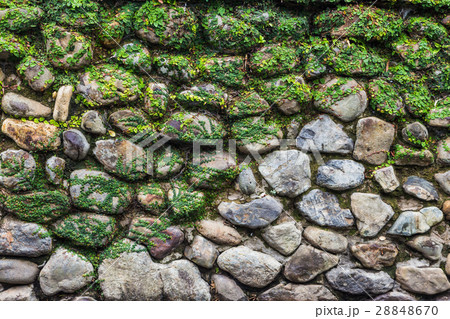 vintage stone wall covered with moss 28848670
