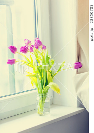 bunch of tulips on windowsill bunch of tulips on windowsill 28850705