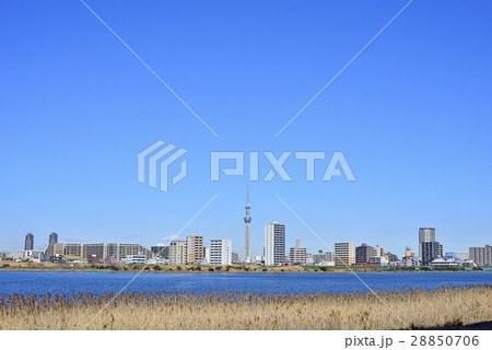 東京 都市風景 東京スカイツリー 東京 都市風景 東京スカイツリー 28850706