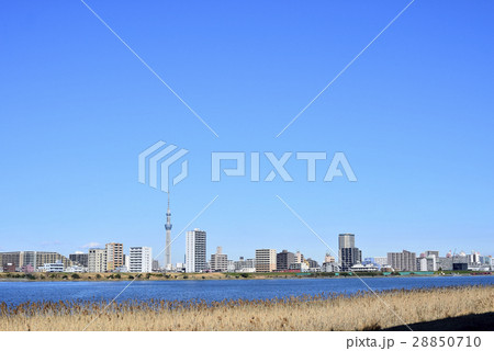 東京　都市風景　東京スカイツリー 28850710