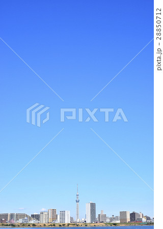 東京　都市風景　東京スカイツリー 28850712