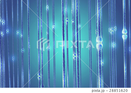 Neurons transmission signals in the head on blue 28851620