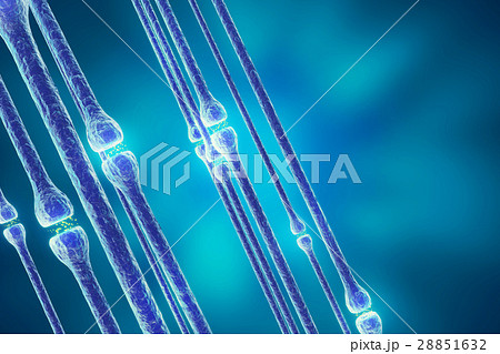 Synaptic transmission, human nervous system. 3d Synaptic transmission, human nervous system. 3d 28851632