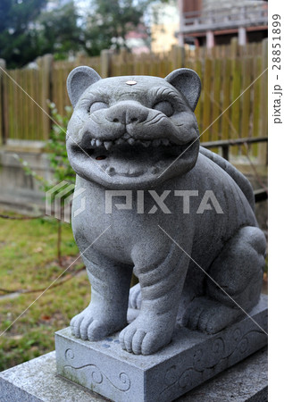 大江神社の狛虎-5 28851899