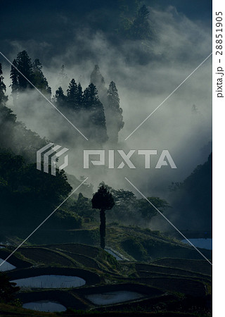 山古志の棚田 28851905