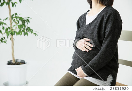 妊婦さん 28851920