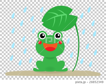 A frog A frog 28852349