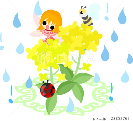 可愛い妖精と綺麗な菜の花と蜂とてんとう虫と雨のイラスト素材