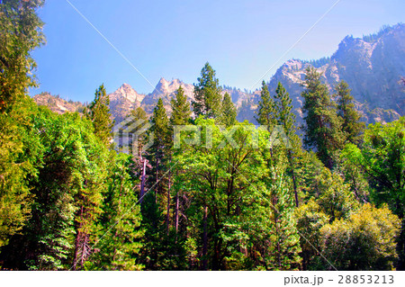 Yosemite National Park, USA 28853213