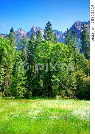 Yosemite National Park, USA 28853214