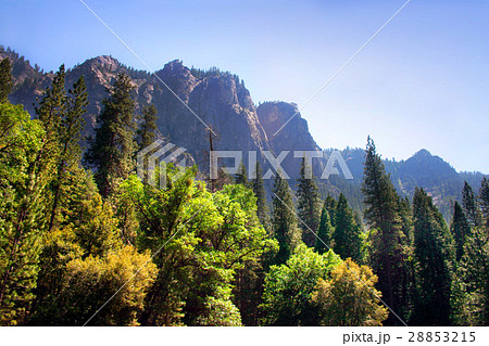Yosemite National Park, USA 28853215