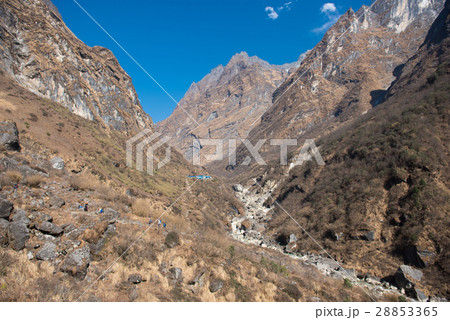 beautiful way for trekking to Annapurna base camp beautiful way for trekking to Annapurna base camp 28853365