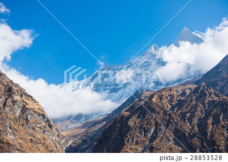 Machhapuchhre beautiful snow mountain  28853528