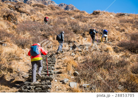 Hiking to Himalaya mountain in Nepal , trekking  28853705