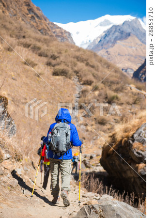Hiking to Himalaya mountain in Nepal , trekking  28853710