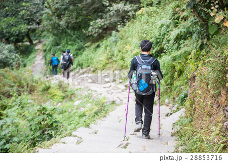 Hiking to Himalaya mountain in Nepal , trekking  28853716