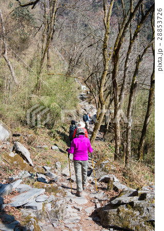 Hiking to Himalaya mountain in Nepal , trekking  28853726