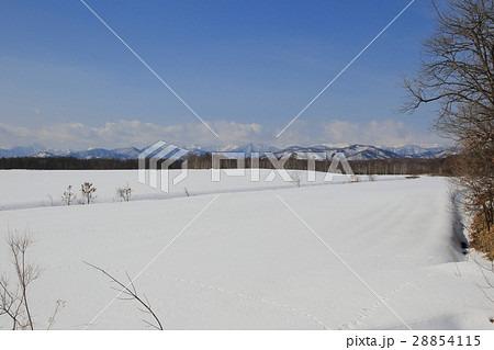 北海道　十勝平野と雪山 28854115