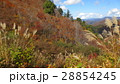 紅葉と山 ／ The autumn leaves and the mountains 28854245