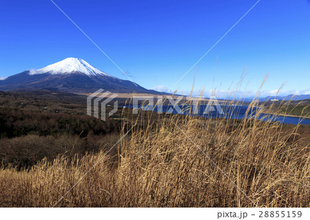 須々木と富士 28855159
