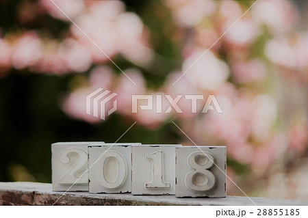 年号2018 28855185