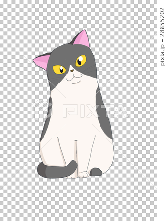 ねこ おすまし かわいいのイラスト素材 2552