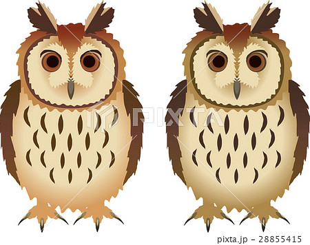 ウサギフクロウ 28855415