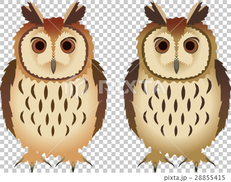 イラストオーダー＋ウサギフクロウミニ色紙 森の守り神 「ウサギ、フクロウ、クマ、リス」ポストカード14.8