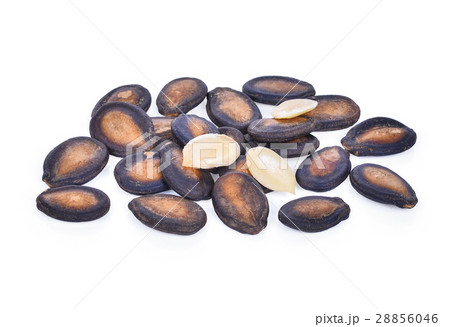 dried watermelon seeds isolated on white  28856046