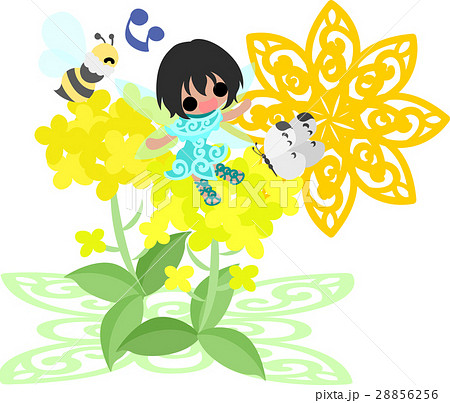 可愛い妖精と綺麗な菜の花と蜂と蝶と太陽のイラスト素材